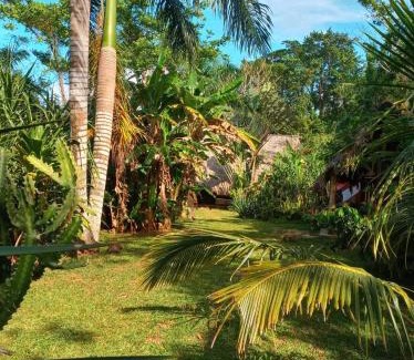 Las Terrenas House | bungalows tropicaux Jardin exotique