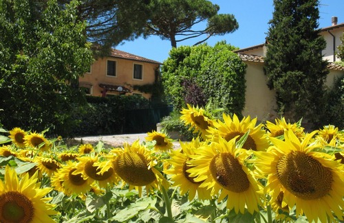 Toiano Other | Buon Riposo - Farmhouse in the heart of Tuscany with free WIFI area