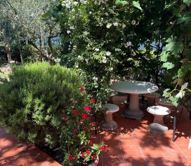 Pesaro House | Buonarroti 19