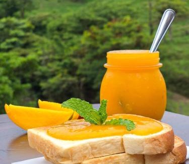 Quebrada Grande Hotel | Burbi Lake Lodge Monteverde