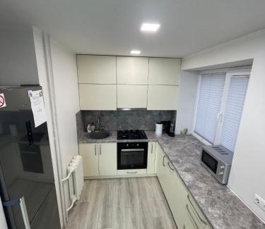 Panevezys Apartment | Butas miesto centre