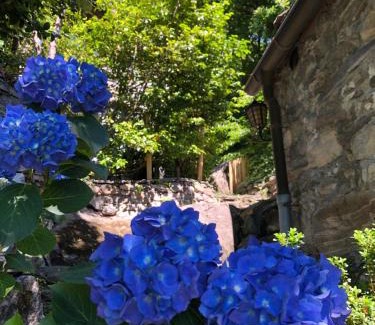 Giumaglio House | Cà dal Bosc e Cà sgrüscia