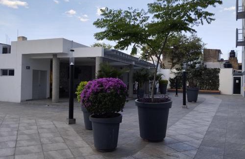 San Juan de Dios Apartment | Céntrico y estiloso apartamento con Alberca, AC, Seguridad, Aparcamiento y Gym