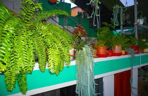 Echarate House | Cómodo alojamiento con jardín y baño privado-Echarati