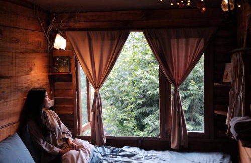 Da Lat Cabin | Cú Trên Cây Homestay