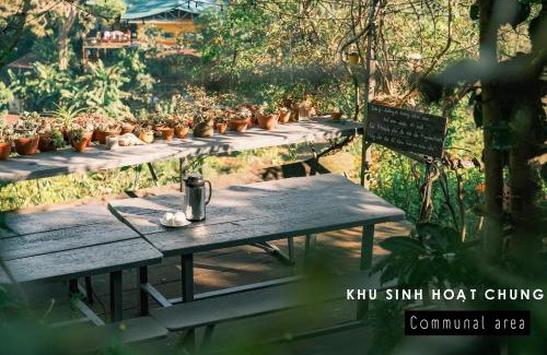 Da Lat Cabin | Cú Trên Cây Homestay