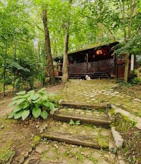 Vladesti Villa | Căsuța din pădure