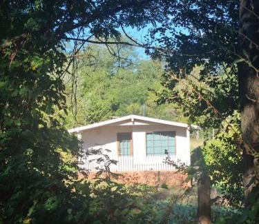 Pucioasa House | Căsuțele bucuriei