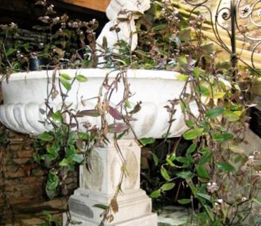 Castello Apartment | Ca' Querini - Apartment