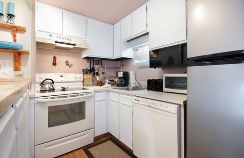 Steamboat Springs Condo | CA117 | Lovely Mountainside Condo | Steps from slopes | Winter Shuttle | Hot Tub