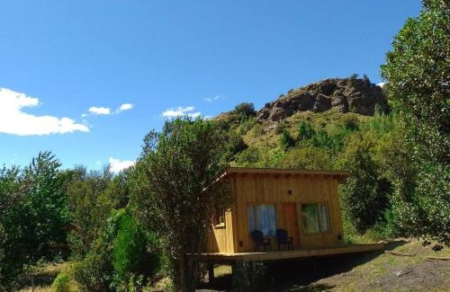 Lanin National Park Ski Chalet | Cabaña con Parrilla y VISTA a la Montaña
