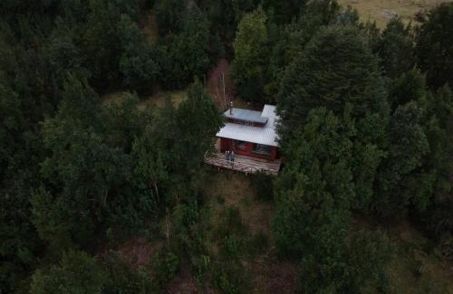 Cunco Ski Chalet | Cabaña con vista al Lago Colico