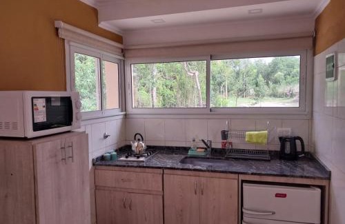 Pocho Department Apartment | Cabaña Concepcion del Valle