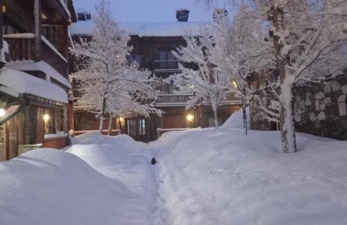 Soldeu Apartment | Cabaña de madera Valle de Incles Orenetes HUT - 8301