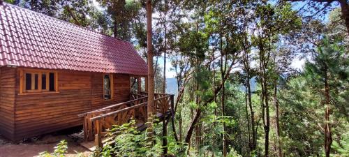 San Jose del Pacifico Ski Chalet | Cabaña en el Bosque de San José del Pacífico 4