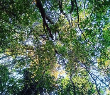 Puerto Montt Other | Cabaña en la naturaleza