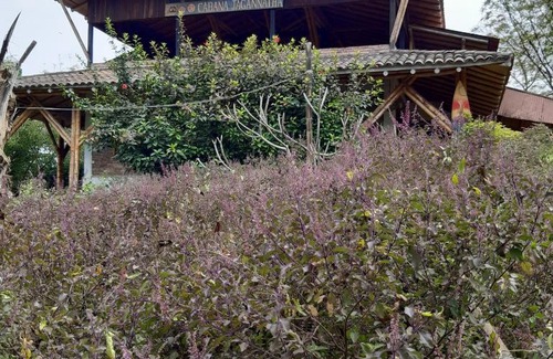 Ayampe House | Cabaña Jagannatha