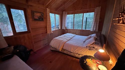 Caburgua Ski Chalet | Cabaña Mawinda