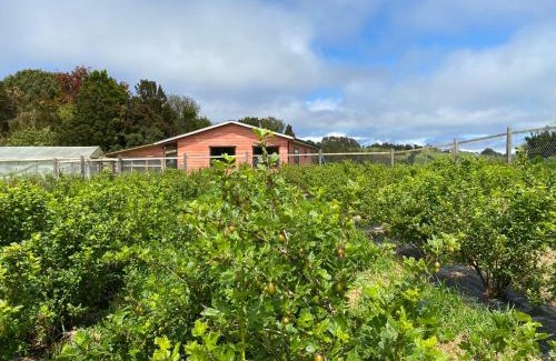 Ancud House | Cabaña Nueva en Ancud Chiloe
