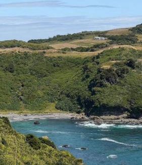 Chepu Apartment | Cabaña para 3 en playa de CHILOE