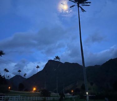 Salento Other | Cabaña Valle del Cocora