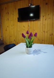 Uspallata Ski Chalet | Cabañas Antawara Uspallata