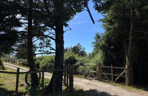 Ancud Apartment | Cabañas Arenas de Ancud
