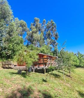 Bajos de Lircay Cabin | Cabañas Cerro Colorado Lago Colbún