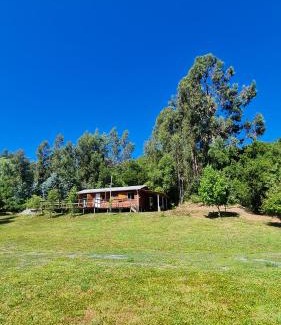 Bajos de Lircay Cabin | Cabañas Cerro Colorado Lago Colbún