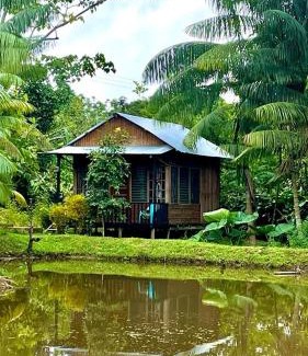 Puerto Narino Apartment | Cabañas Dechi