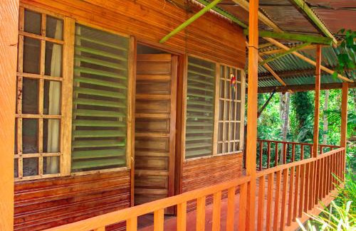 Puerto Narino Apartment | Cabañas Dechi