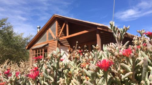 San Pedro de Atacama Ski Chalet | Cabañas Doña Juanita