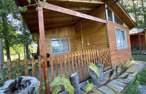 Curacautin Apartment | Cabañas EcoSur - Chile
