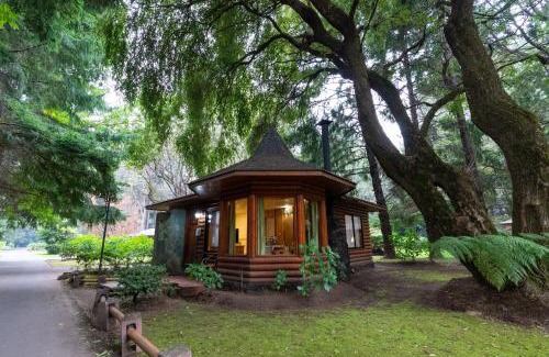 Pucon Cabin | Cabañas el Dorado Pucón