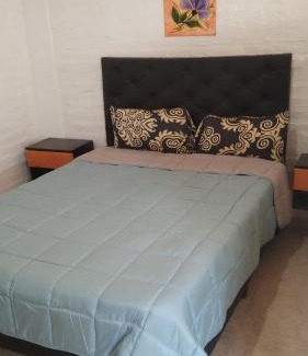 General San Martin Apartment | Cabañas la hortensia