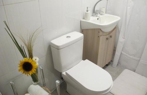 Chillan Apartment | Cabañas Lemupewen Chillán 2 Factura