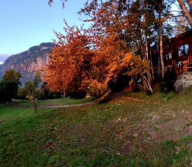 Llifen Cabin | Cabañas Llifenativo