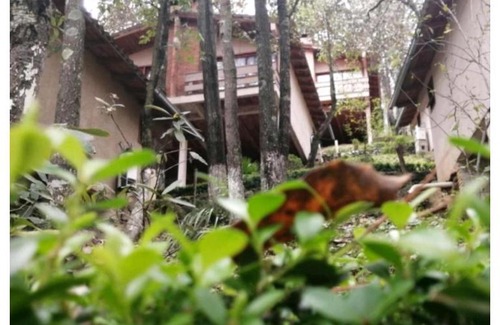 Huasca De Ocampo Other | Cabañas Los Bosques del Zembo