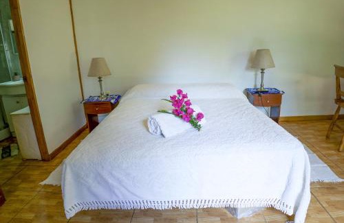Hanga Roa Apartment | Cabañas moeVarua en Tahai