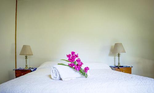 Hanga Roa Apartment | Cabañas moeVarua en Tahai