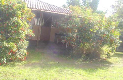 Hanga Roa Ski Chalet | Cabañas Varua