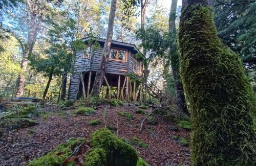 Pinto Ski Chalet | Cabañita del Árbol Cóndor