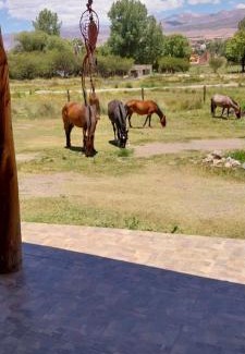 Humahuaca House | Cabañitas EL REPOSO HUMAHUACA