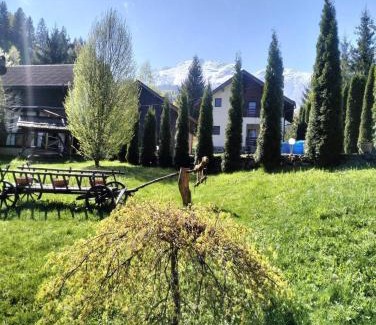 Borsa House | Cabana Alexandra