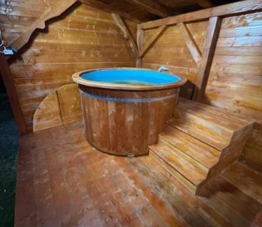 Poiana Vadului House | Cabana trei paltini