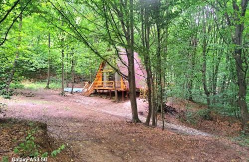 Curtea De Arges House | CabanaAframe
