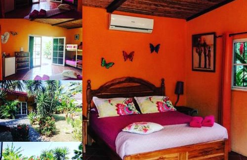 Copecito Hotel | Cabanas Los Colibris Hotel Ecolodge