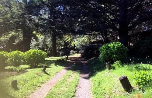 Villarrica House | Cabanas Mapulauquen