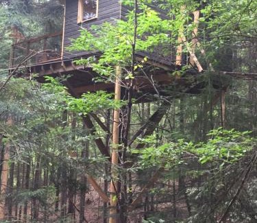 Chatel-Guyon Other | cabane de l'Ecureuil