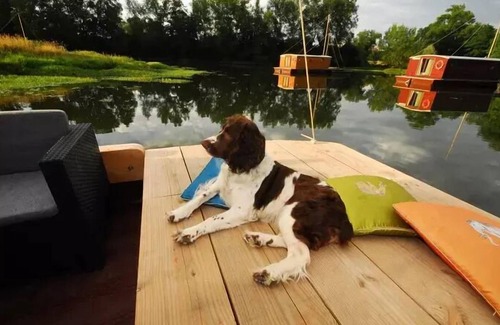 Molinet Cabin | Cabane Flottante à Quai 2 Pièces 2/5 Personnes